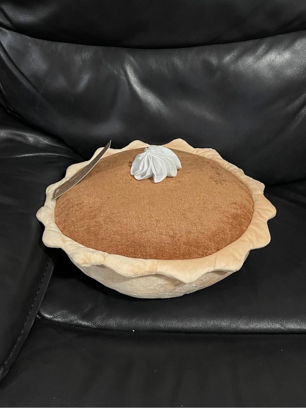 Thanksgiving Cupcakes and Cashmere Pumpkin Pie Pillow